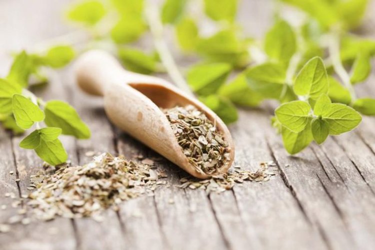 Най-добрите билки за премахване на коремни мазнини, за детокс и ускоряване на метаболизна