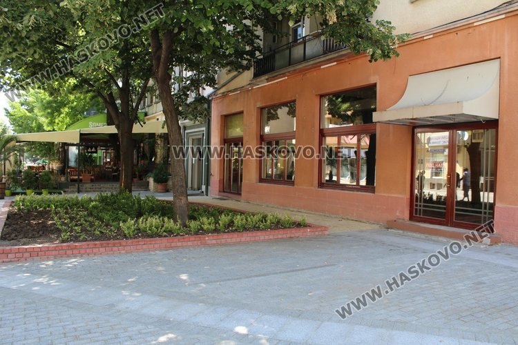 120 хил. стръка летни цветя украсиха Хасково