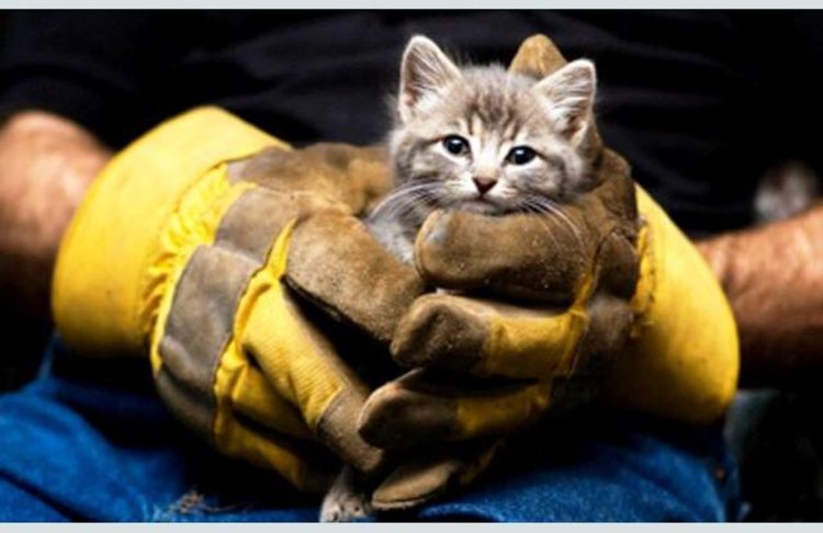 снимката е илюстративна