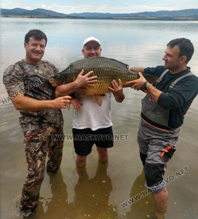 Майстор-риболовец измъкна 26-килограмов шаран и го пусна на свобода