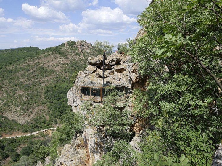 Тестват метод за подсилване на популацията на световно застрашения египетски лешояд