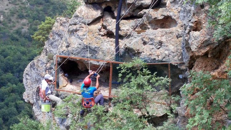 Тестват метод за подсилване на популацията на световно застрашения египетски лешояд