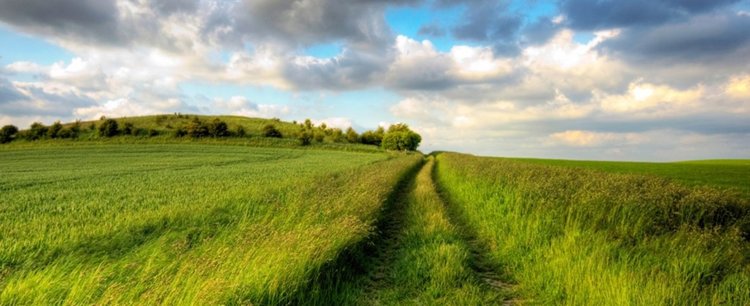 Какво време ни очаква през юли, ще спрат ли валежите