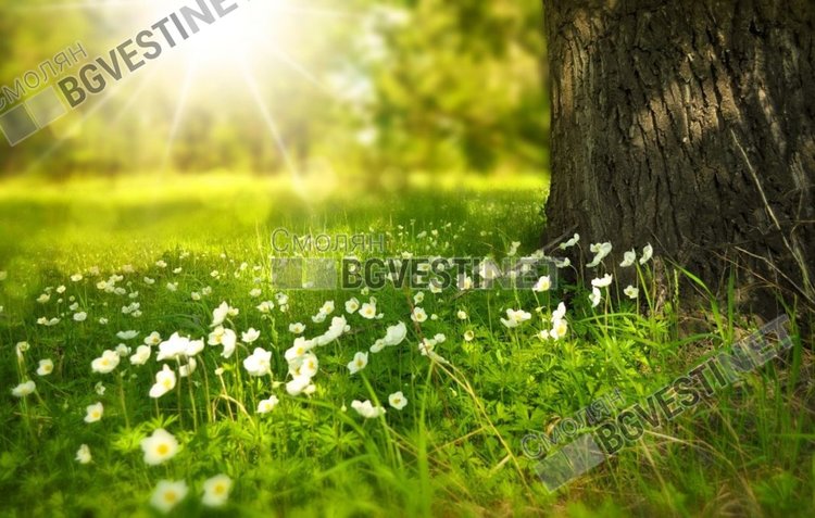 Джулая ни посреща със слънце и ведро небе