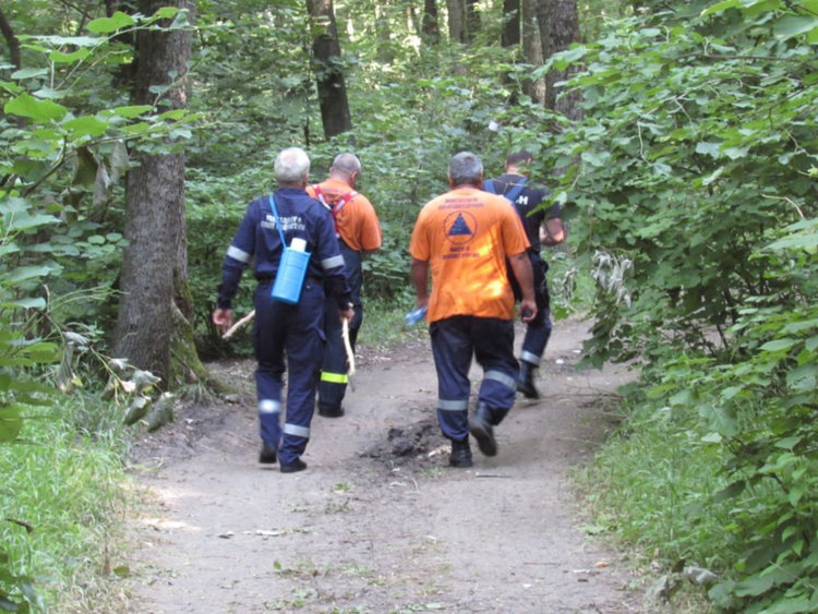 Полиция, горски и доброволци два дни издирваха изчезнал гъбар