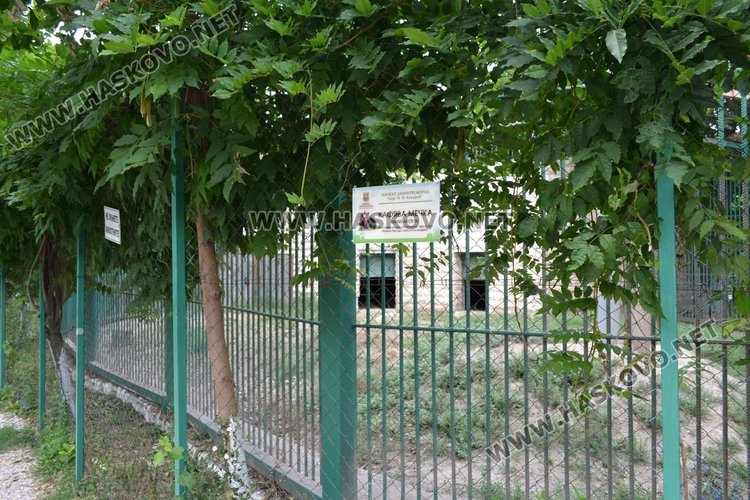 Изпуснаха от клетката мечката от зоопарка в Димитровград