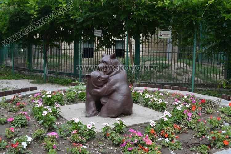 Изпуснаха от клетката мечката от зоопарка в Димитровград