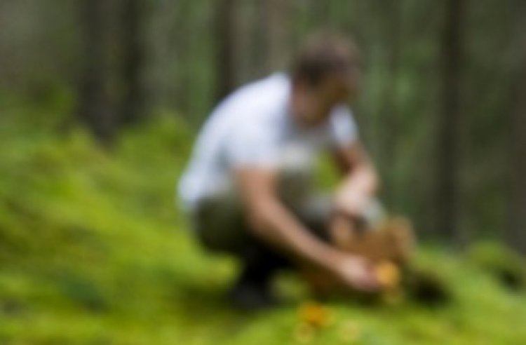 снимката е илюстративна