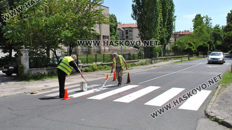 Всяка втора зебра в Хасково не отговаря на закона, удължиха срока за поправка