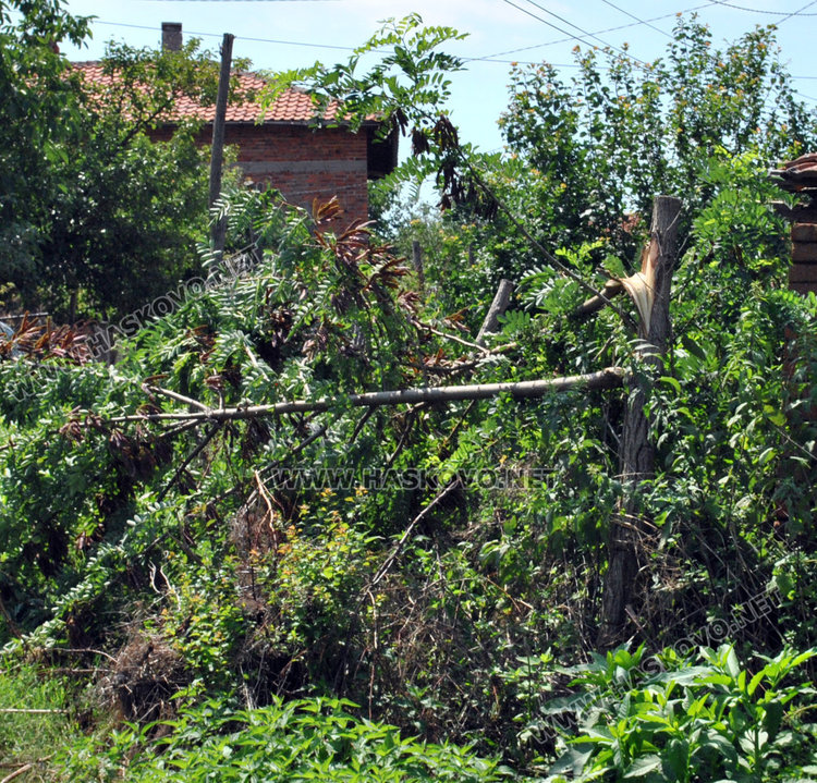 Любеново: Удари ни торнадо. В Динево кметът остана без комин
