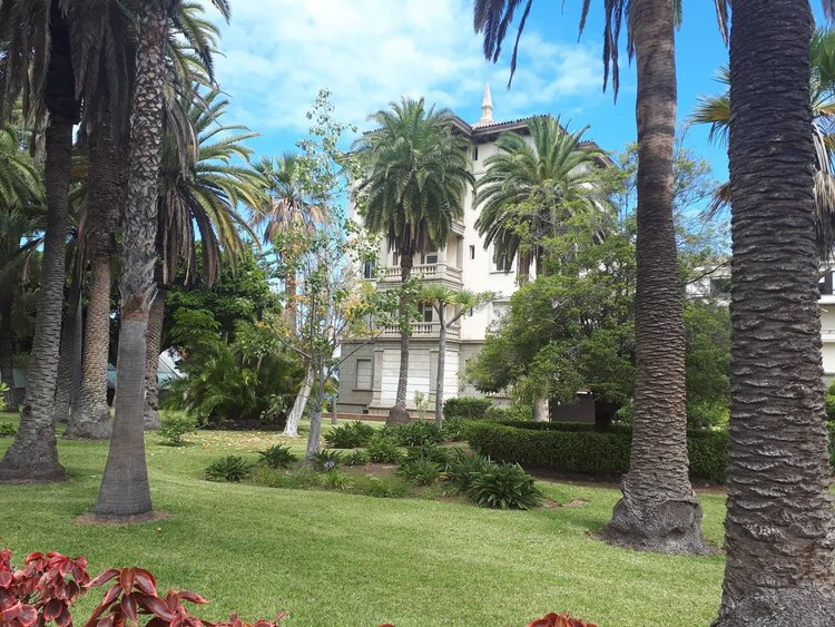 Ученици от Гимназията по туризъм стажуваха на остров Тенерифе, канят ги на работа