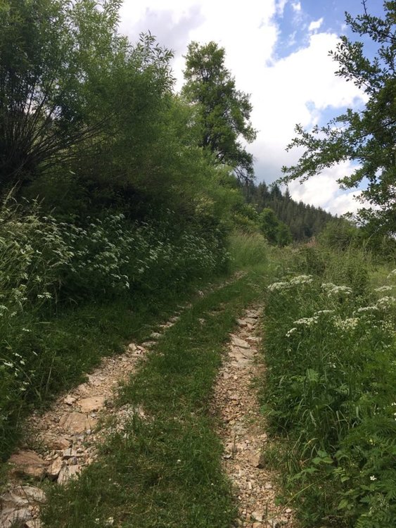 На 5 юли – до обяд слънце, след това дъжд и гръмотевици