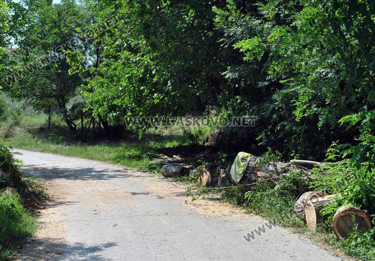 Любеново: Удари ни торнадо. В Динево кметът остана без комин