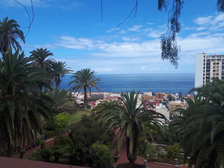 Ученици от Гимназията по туризъм стажуваха на остров Тенерифе, канят ги на работа