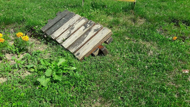 Опасват Смолян с камери за видеонаблюдение, вандалите не спират да трошат и крадат