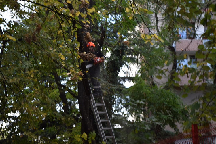 16 сигнала за аварийни ситуации след нощната буря в Кърджали