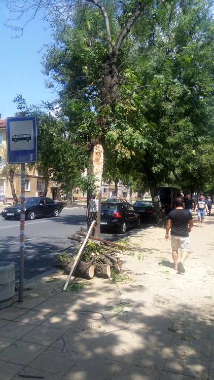 Количеството валежи снощи в Кърджали е около 35 л/кв.м, няма сериозни поражения