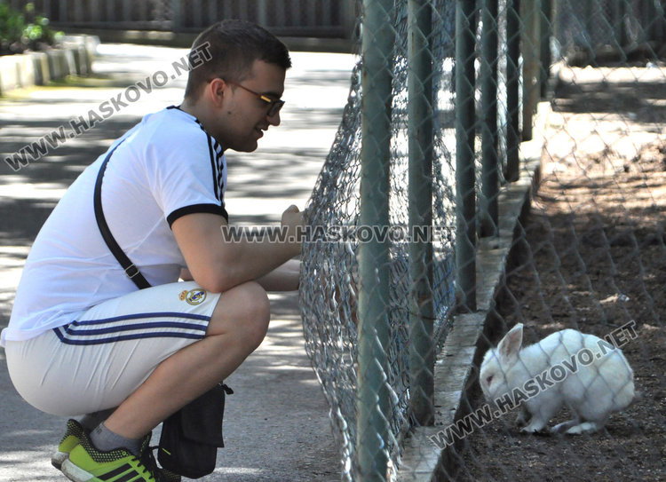 Зоопаркът в Хасково готов за лиценза