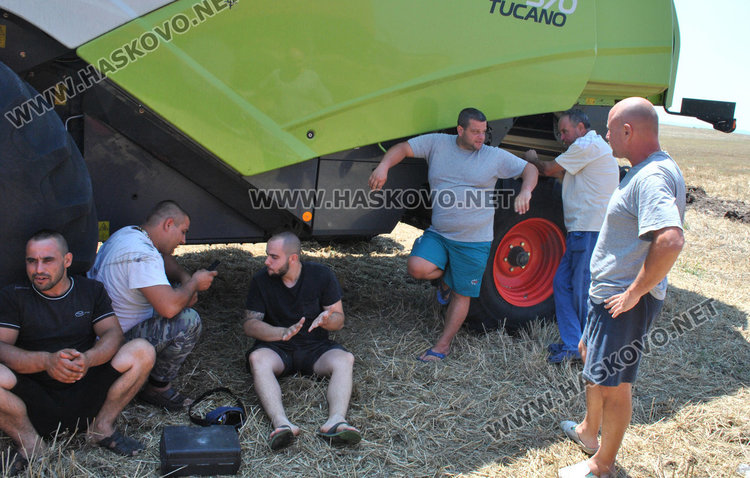 Житото калпаво от дъждовете, чака се поскъпване на хляба