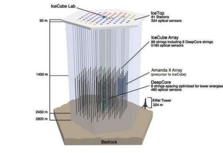 Подземните сензори за откриване на частиците неутрино на IceCube.Илюстрация: IceCube Collaboration