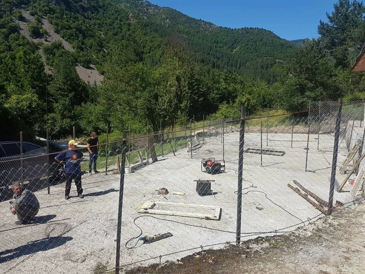 В Девин хотелиери ще хранят бездомните кучета