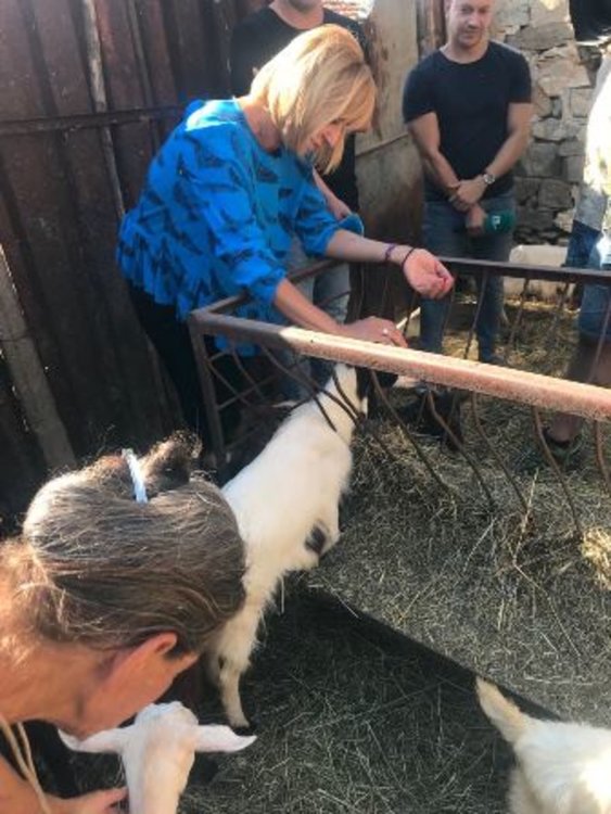 Манолова поиска от Порожонов 300-500 лв. минимум обезщетение за животно в Странджа