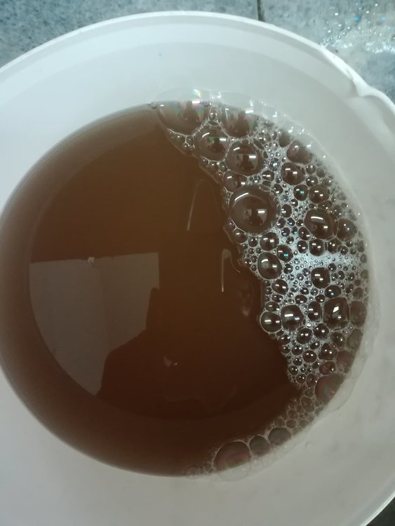 Хасковлийка: мътилка потече от чешмите в центъра на града (видео)