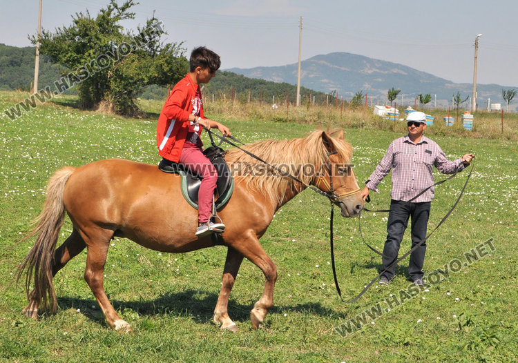 Коне и минерална вода лекуват деца с двигателни и психични проблеми