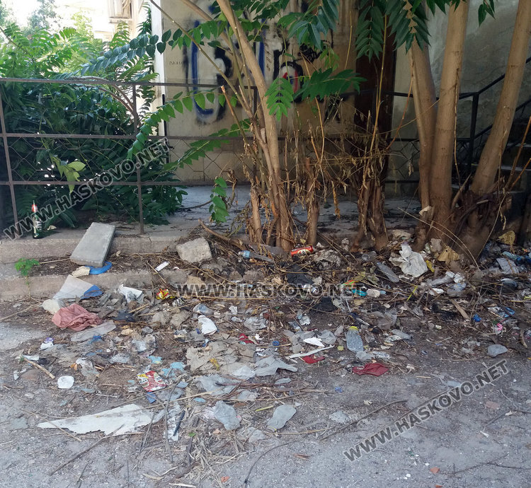 Хасковлийка: Центърът на града тъне в боклуци, екопрогреските само разхождат метлите