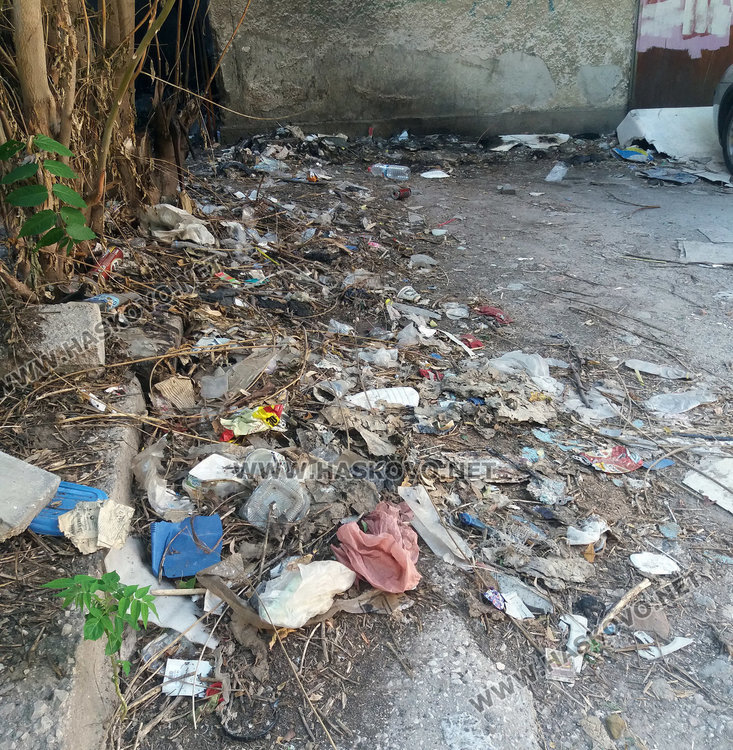 Хасковлийка: Центърът на града тъне в боклуци, екопрогреските само разхождат метлите