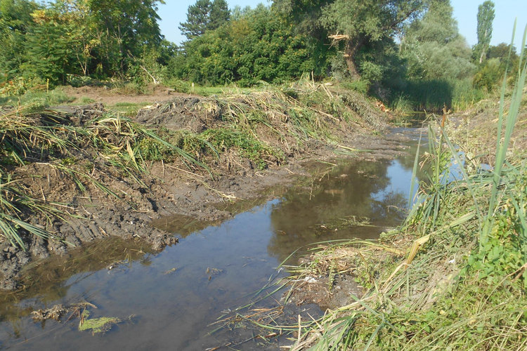 Чистят речните корита и деретата в Хасковско