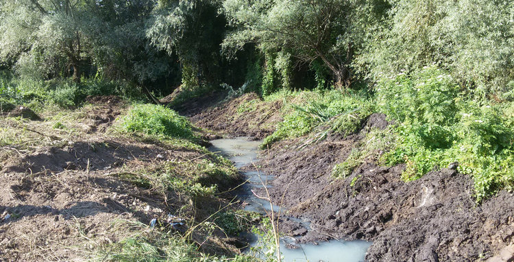 Чистят речните корита и деретата в Хасковско