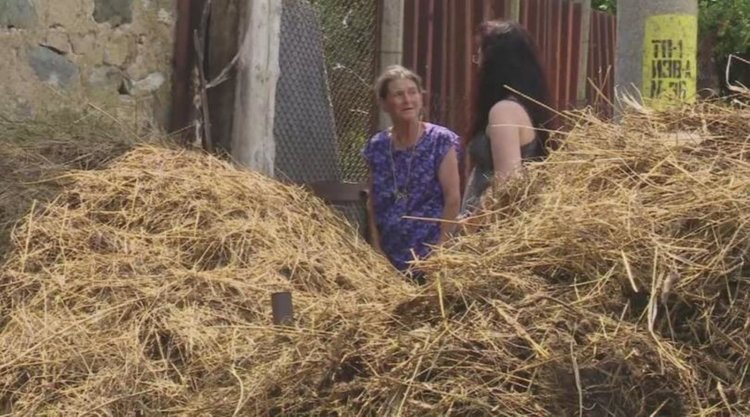 НЯМА ПРИЗНАЦИ ЗА ЧУМА, пише в доклада на Центъра за оценка на риска по хранителната верига към МЗХГ 