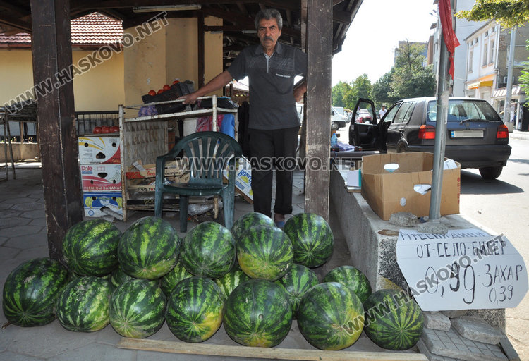 Дините на едро в Любимец по 12-15 стотинки, в Хасково 40-50 ст.