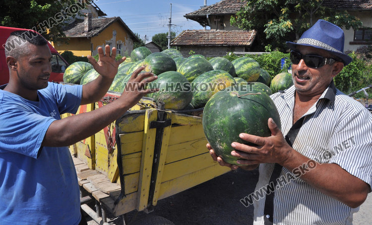  Бостанджии от Любимец: Молим се за градушка, поне да избием загубите