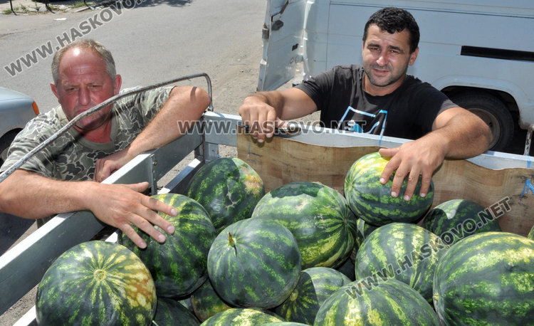  Бостанджии от Любимец: Молим се за градушка, поне да избием загубите
