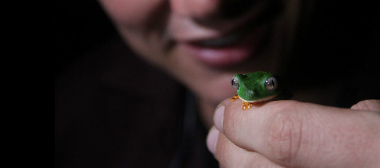 Мракът: Природата нощем - акценти на VIASAT NATURE през август