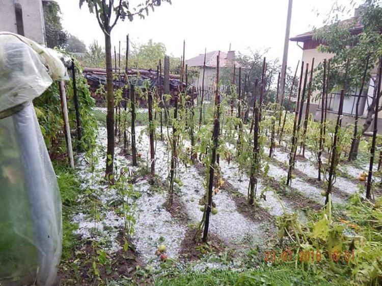 Най-малко четвърт милион лева са щетите от пороя и градушката в Община Баните