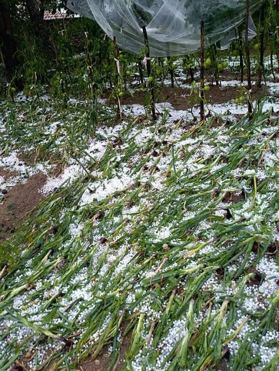 Градушка унищожи посевите в няколко села в Община Баните, тръгнаха свлачища