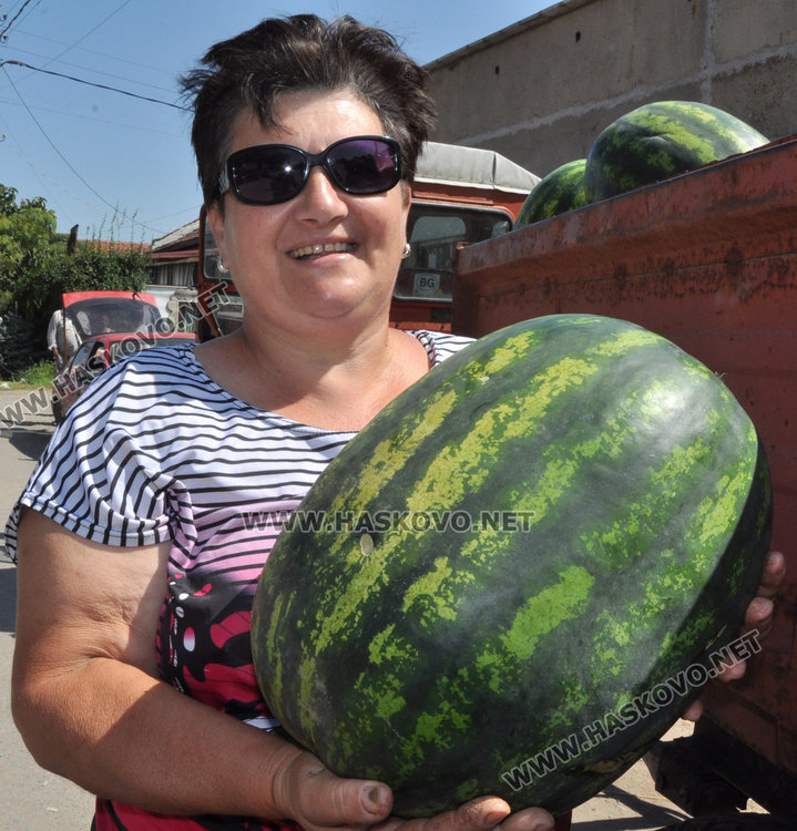  Бостанджии от Любимец: Молим се за градушка, поне да избием загубите