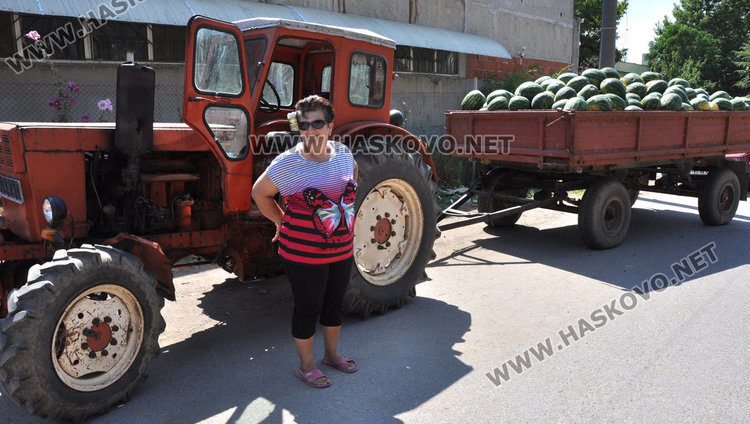  Бостанджии от Любимец: Молим се за градушка, поне да избием загубите