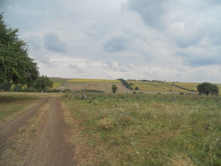 Хасковско дружество влага 100 бона за проучвания в „Янаклъка“