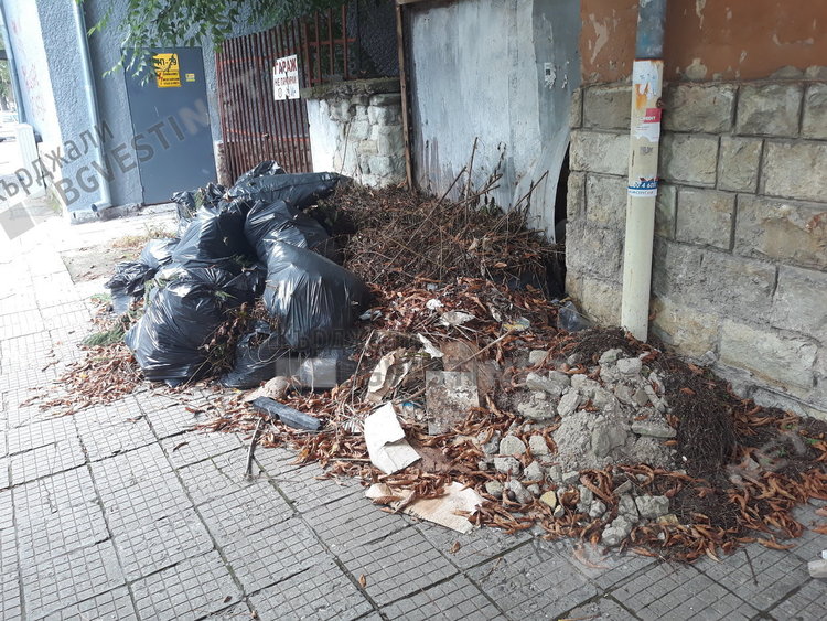 Кестените до Тютюневия монопол изсъхнаха, съдбата им неясна