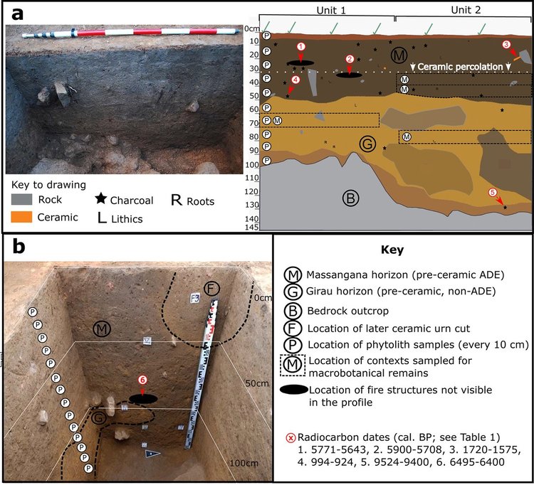 Древните хора в Амазония се заели със земеделие преди 6 хилядолетия