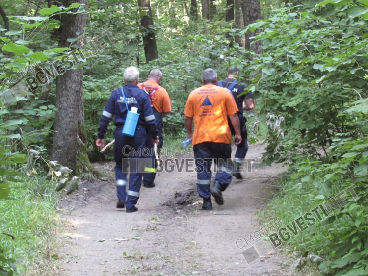 снимката е илюстративна