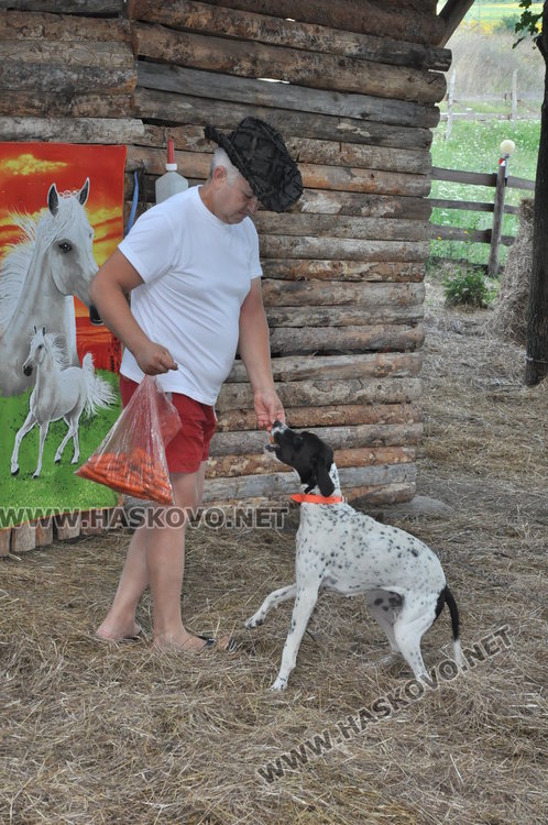 Деца се учат на толерантност в горския кът край Книжовник