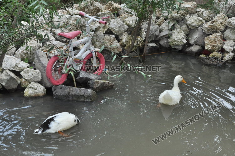 Деца се учат на толерантност в горския кът край Книжовник