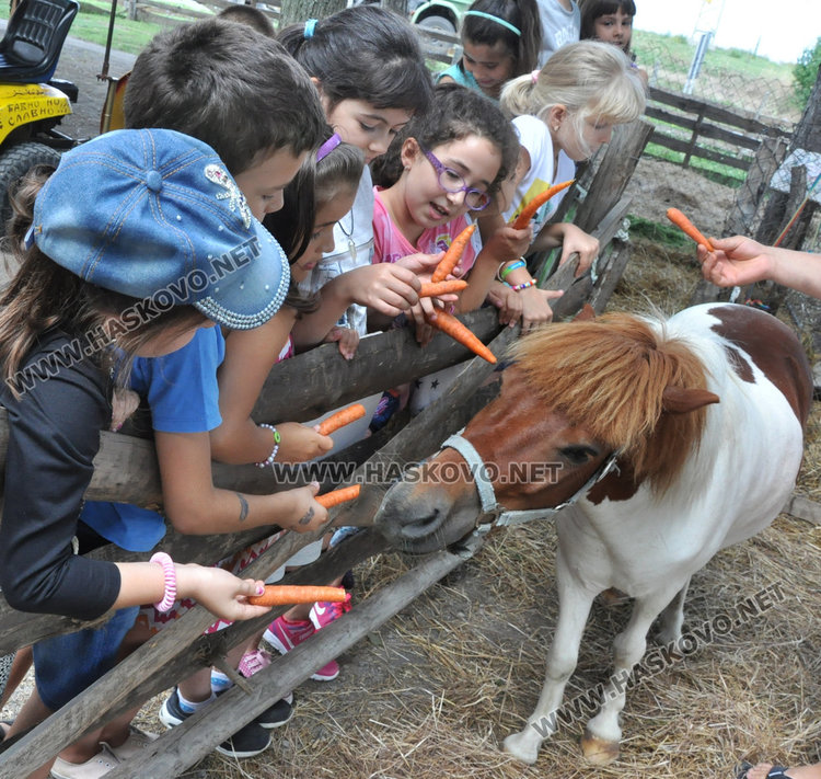 Деца се учат на толерантност в горския кът край Книжовник