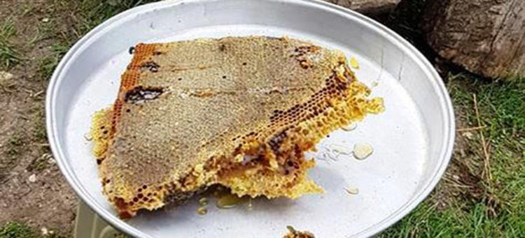 Мехмед Руфат: Реколтата от мед в Македонци е много добра