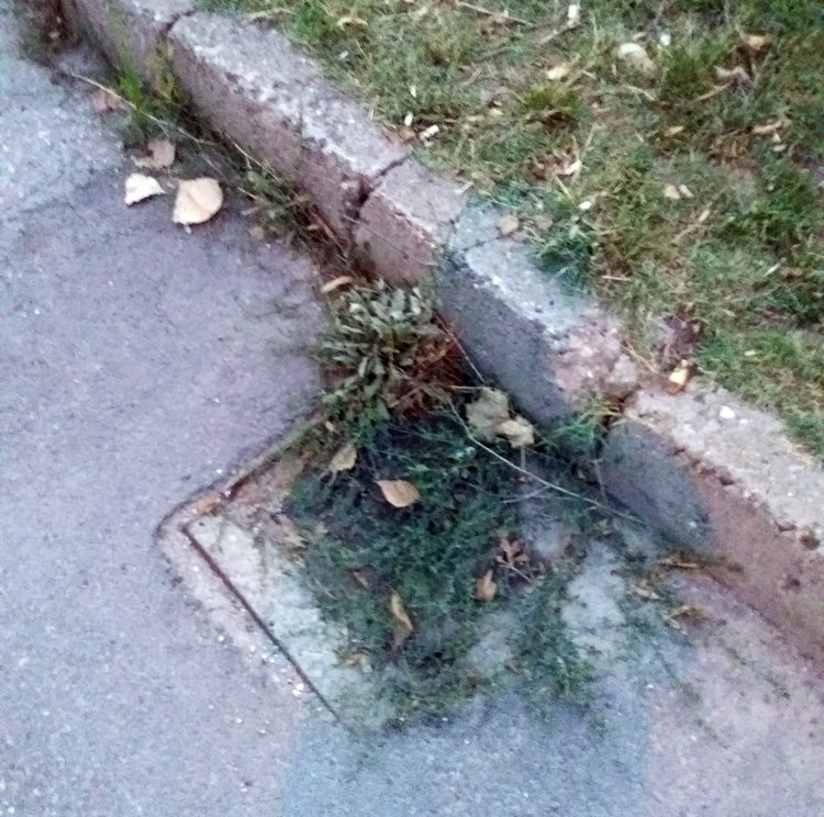 Читатели: Незаконно сметище расте на метри от центъра, шахтите - запушени